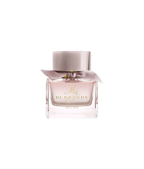 profumo burberry donna blu prezzo|My Burberry Blush di Burberry da donna .